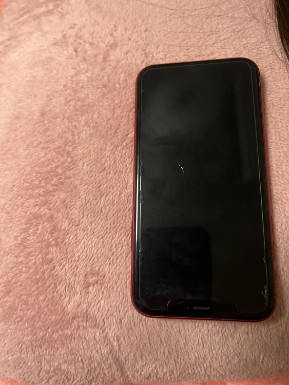 iPhoneXR 128GB docomo（スマホ）の商品画像 - 査定依頼日：2026年1月23日 - 最高査定価格：14,000円