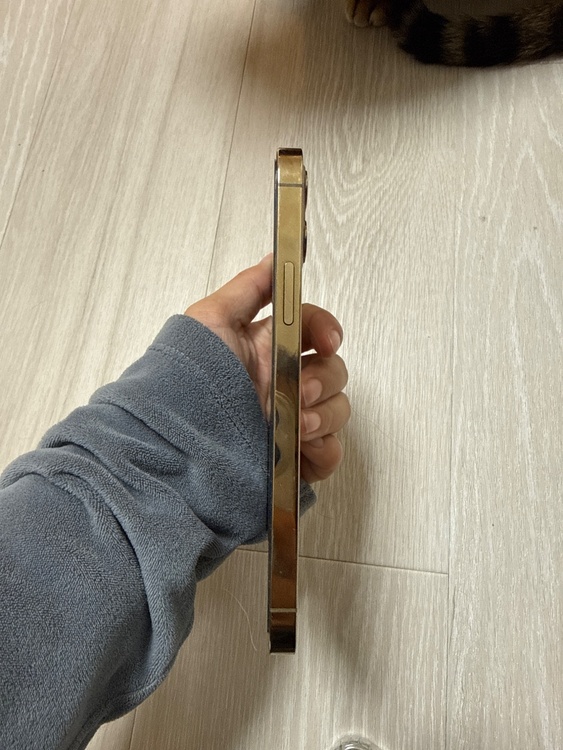 iPhone 12 Pro 256GB docomo（スマホ）の商品画像 - 査定依頼日：2026年4月5日 - 最高査定価格：31,000円