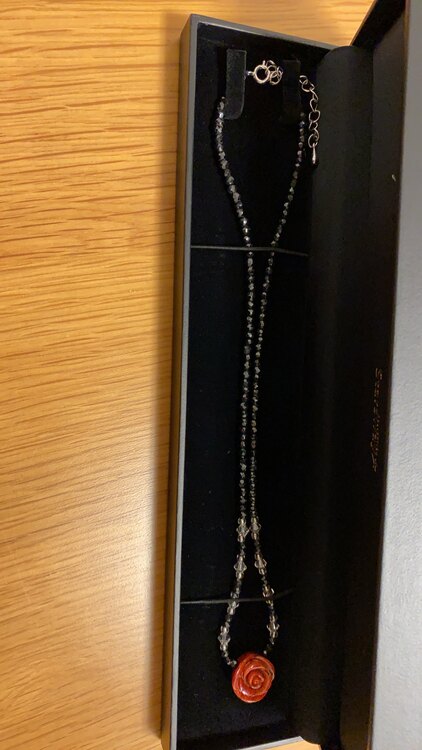 ネックレス（宝石）の商品画像 - 査定依頼日：2023年11月30日 - 最高査定価格：2,000円