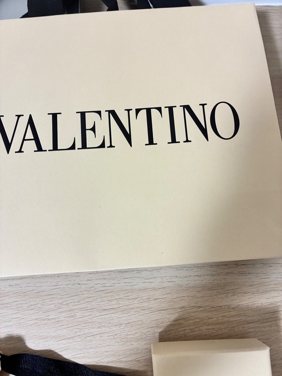 【Valentino】Vロゴ シグネチャー メタル ピアス（金・貴金属）の商品画像 - 査定依頼日：2026年5月26日 - 最高査定価格：100,000円