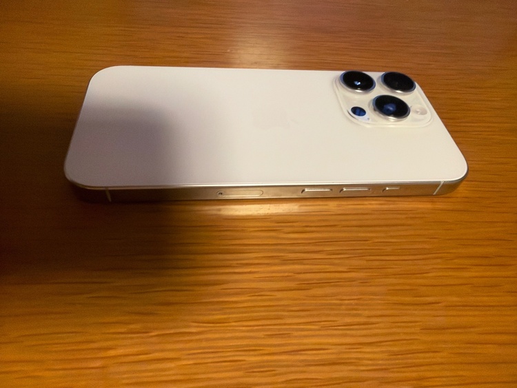 iPhone iPhone 16 Pro 256GB SIMフリー（スマホ）の商品画像 - 査定依頼日：2026年9月19日 - 最高査定価格：122,500円