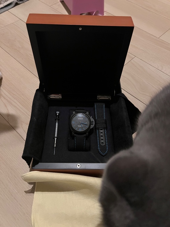 パネライ ルミノール （高級時計）の商品画像 - 査定依頼日：2026年1月28日 - 最高査定価格：1,050,000円