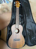 ハナレイHUK500C（ピアノ・楽器・PA機材）の商品画像 - 査定依頼日：2026年5月28日 - 最高査定価格：5,000円
