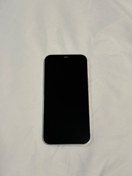 iPhone iPhone 12 Pro Max 256GB SIMフリー（スマホ）の商品画像 - 査定依頼日：2026年9月13日 - 最高査定価格：45,500円