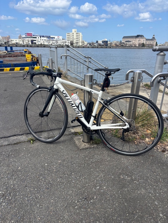 スペシャライズドアレースポーツ2019（自転車）の商品画像 - 査定依頼日：2026年2月22日 - 最高査定価格：43,000円