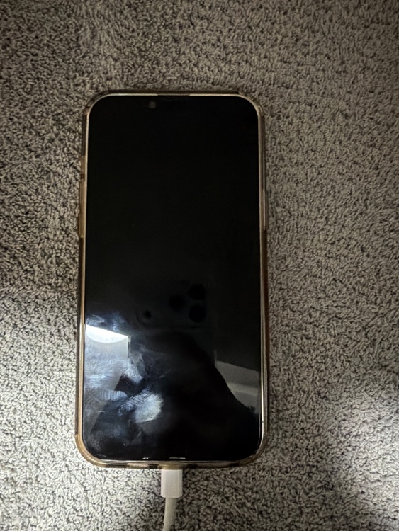 iPhone 13 Pro Max 128GB au（スマホ）の商品画像 - 査定依頼日：2026年4月2日 - 最高査定価格：48,000円