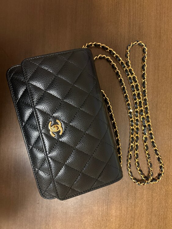 チェーンウォレット（ブランドバッグ）の商品画像 - 査定依頼日：2025年1月6日 - 最高査定価格：460,000円