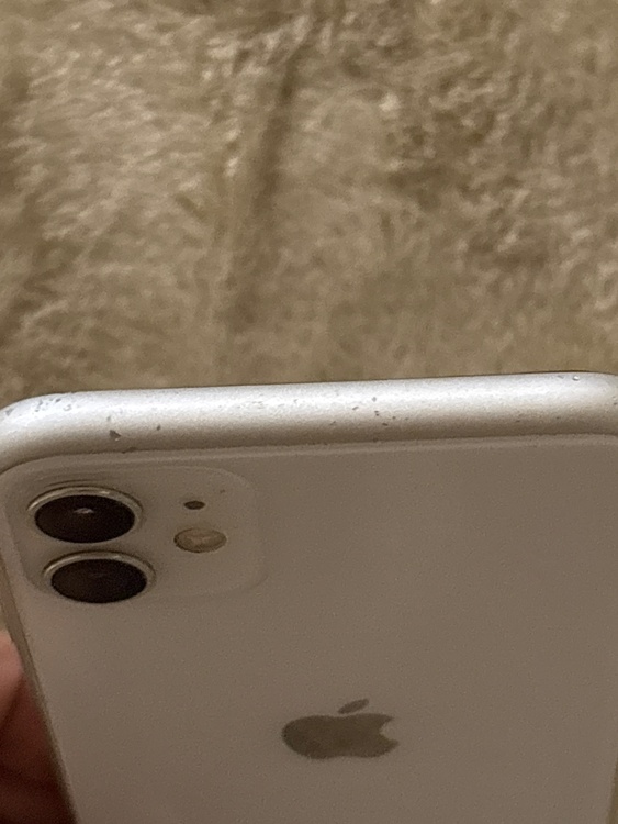 iPhone iPhone11 64GB SIMフリー（スマホ）の商品画像 - 査定依頼日：2026年7月14日 - 最高査定価格：13,000円