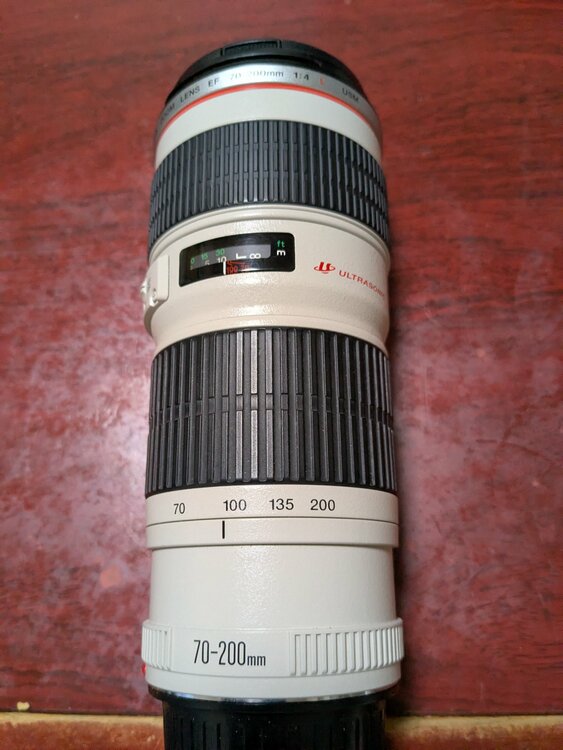 ZOOM LENS EF 70-200mm 1:4 L  USM（カメラ）の商品画像 - 査定依頼日：2026年7月1日 - 最高査定価格：35,000円
