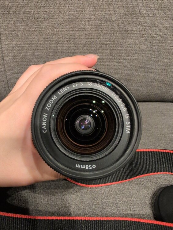 Eos Kiss X7（カメラ）の商品画像 - 査定依頼日：2026年6月16日 - 最高査定価格：20,000円