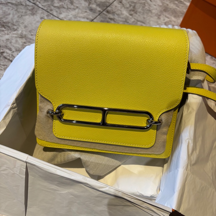 ロウリスミニ（ブランドバッグ）の商品画像 - 査定依頼日：2026年3月17日 - 最高査定価格：420,000円