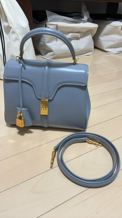 セーズ（ブランドバッグ）の商品画像 - 査定依頼日：2026年4月9日 - 最高査定価格：170,000円