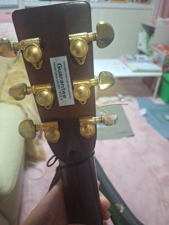 CE-2500(キャッツアイ)（ピアノ・楽器・PA機材）の商品画像 - 査定依頼日：2026年8月6日 - 最高査定価格：300,000円