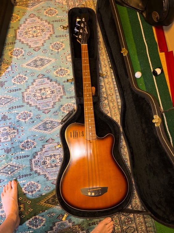 Godin model A4（ピアノ・楽器・PA機材）の商品画像 - 査定依頼日：2026年10月2日 - 最高査定価格：45,000円