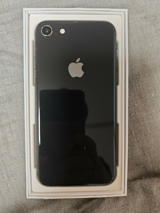 iPhone iPhone8 64GB SIMフリー（スマホ）の商品画像 - 査定依頼日：2026年9月19日 - 最高査定価格：4,500円