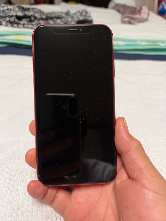 iPhone iPhone11 128GB SIMフリー（スマホ）の商品画像 - 査定依頼日：2026年7月1日 - 最高査定価格：100,000円