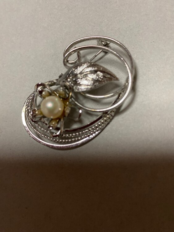 ブローチ（宝石）の商品画像 - 査定依頼日：2025年4月26日