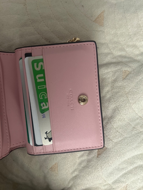 その他 コーチ （ブランドバッグ）の商品画像 - 査定依頼日：2026年3月29日 - 最高査定価格：1,500円