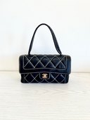 ワイルドステッチ　ミニハンドバッグ