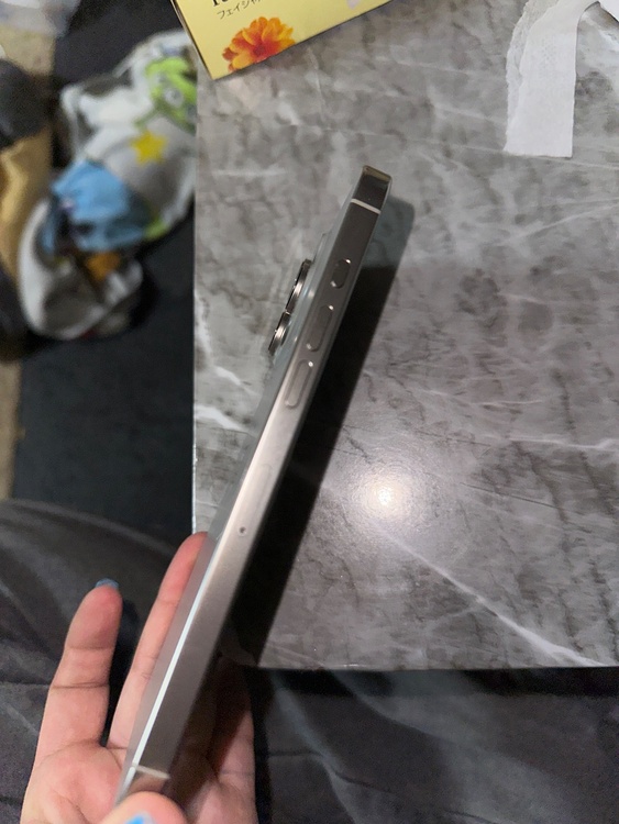 iPhone iPhone 16 Pro Max 256GB Softbank（スマホ）の商品画像 - 査定依頼日：2026年9月28日 - 最高査定価格：139,000円