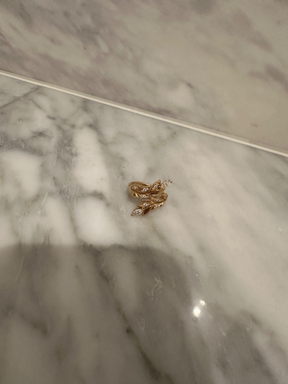 ティファニー（宝石）の商品画像 - 査定依頼日：2026年4月16日 - 最高査定価格：530,000円