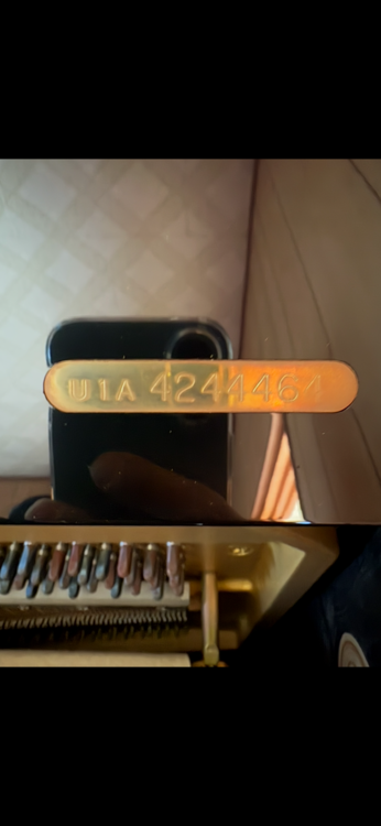 U1A 4244464（ピアノ・楽器・PA機材）の商品画像 - 査定依頼日：2026年3月19日 - 最高査定価格：40,000円