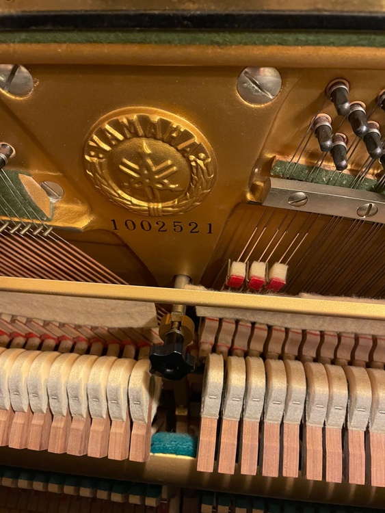 1002521（ピアノ・楽器・PA機材）の商品画像 - 査定依頼日：2026年1月17日 - 最高査定価格：20,000円