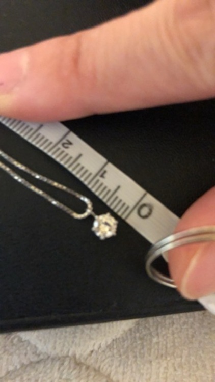 0.3カラット一粒ダイヤプラチナチェーン（宝石）の商品画像 - 査定依頼日：2025年9月26日 - 最高査定価格：50,000円