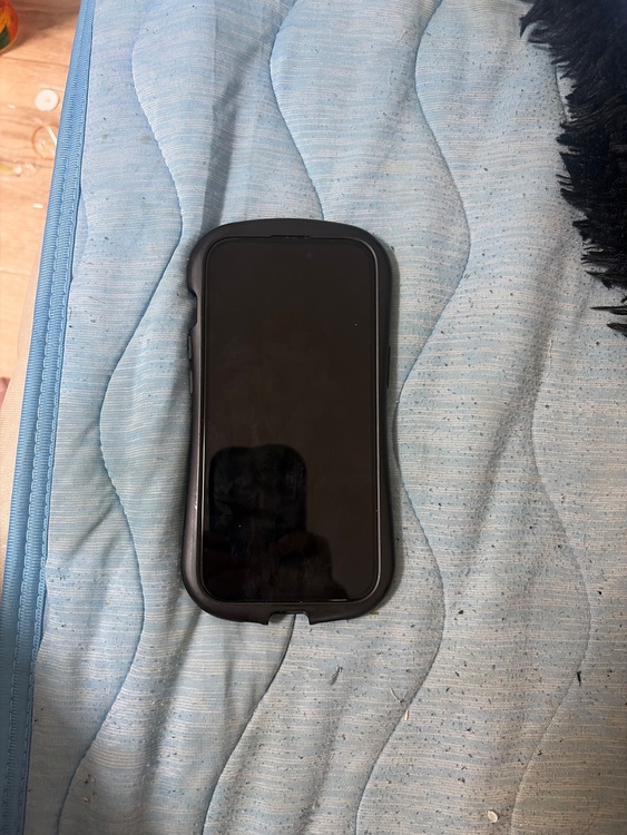 iPhone iPhone 15 128GB Softbank（スマホ）の商品画像 - 査定依頼日：2026年7月11日 - 最高査定価格：64,000円