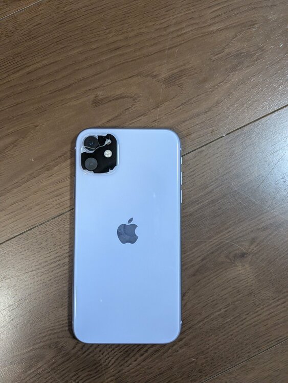 iPhone iPhone11 256GB SIMフリー（スマホ）の商品画像 - 査定依頼日：2026年9月6日 - 最高査定価格：23,500円