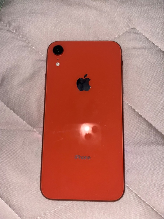 iPhone iPhone 13 256GB docomo（スマホ）の商品画像 - 査定依頼日：2026年10月13日 - 最高査定価格：34,000円