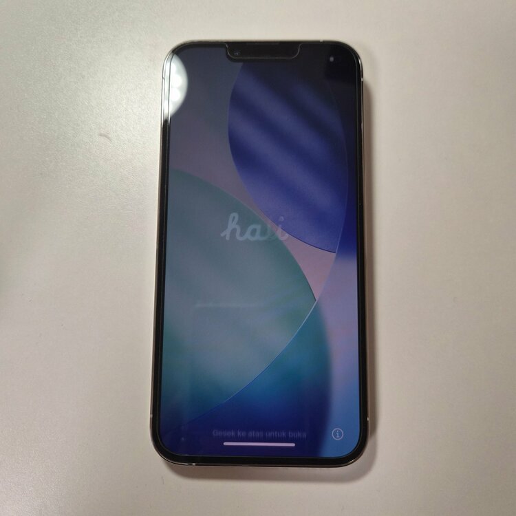 iPhone 13 Pro 256GB SIMフリー（スマホ）の商品画像 - 査定依頼日：2026年3月5日 - 最高査定価格：49,000円