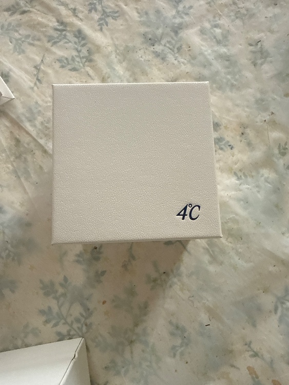 K10ホワイトゴールドピアス（金・貴金属）の商品画像 - 査定依頼日：2026年3月16日 - 最高査定価格：4,000円