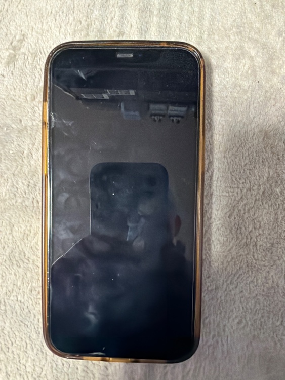 iPhone 12 Pro Max 512GB SIMフリー（スマホ）の商品画像 - 査定依頼日：2026年1月26日 - 最高査定価格：45,000円