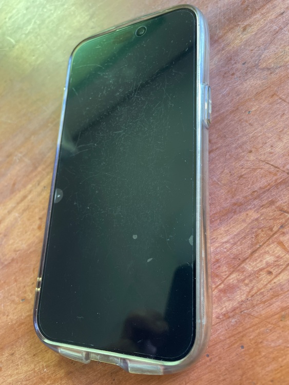 iPhone 15 Pro Max 256GB SIMフリー（スマホ）の商品画像 - 査定依頼日：2025年10月30日 - 最高査定価格：113,000円