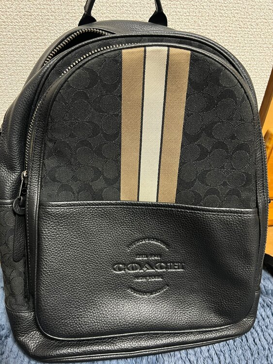 その他 コーチ （ブランドバッグ）の商品画像 - 査定依頼日：2025年4月1日 - 最高査定価格：10,000円