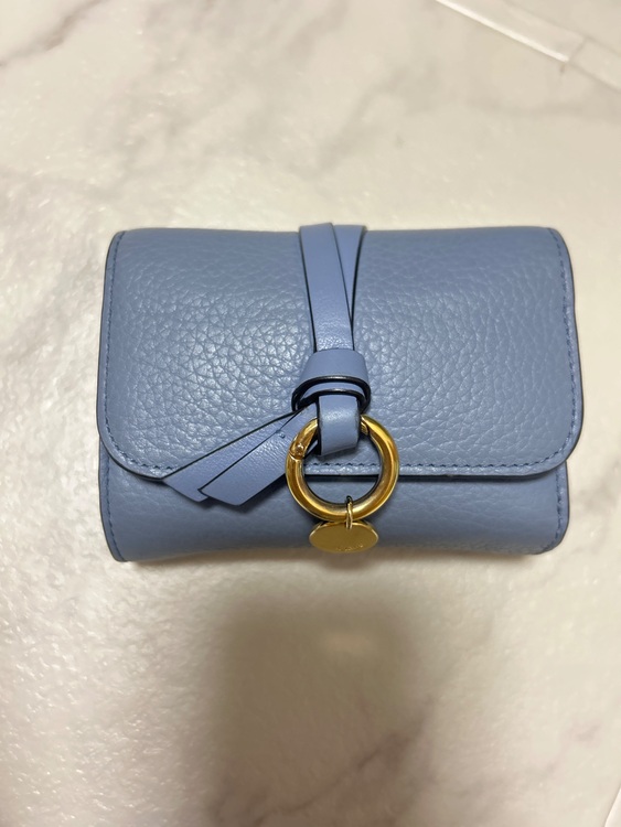 その他 クロエ （ブランドバッグ）の商品画像 - 査定依頼日：2025年7月8日 - 最高査定価格：13,000円