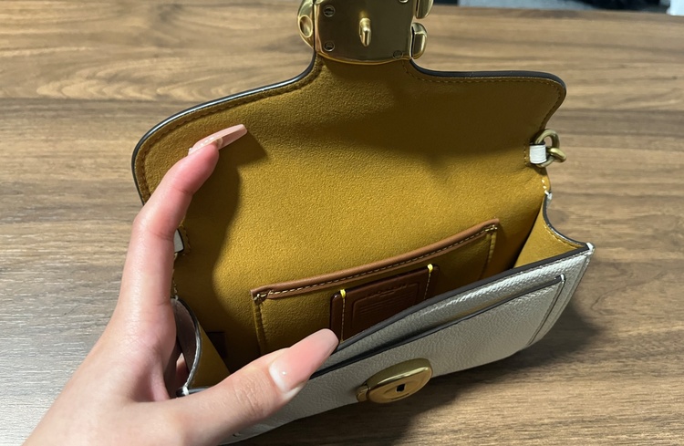 タビー チェーン クロスボディ バッグ 19（ブランドバッグ）の商品画像 - 査定依頼日：2026年3月14日 - 最高査定価格：8,000円