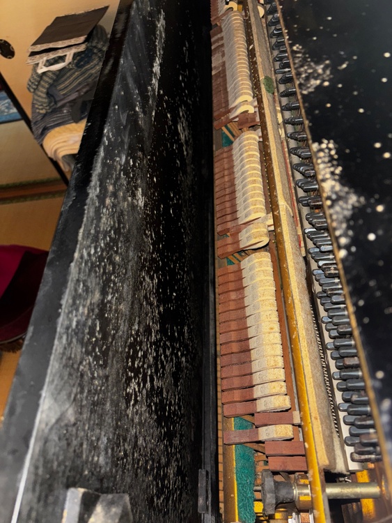 U3E（ピアノ・楽器・PA機材）の商品画像 - 査定依頼日：2026年2月9日 - 最高査定価格：1,000円