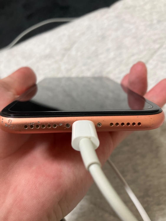 iPhoneXR 64GB docomo（スマホ）の商品画像 - 査定依頼日：2026年2月27日 - 最高査定価格：12,000円