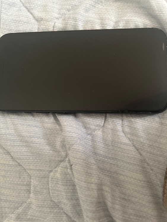 iPhone iPhone 13 256GB Softbank（スマホ）の商品画像 - 査定依頼日：2026年10月1日 - 最高査定価格：22,500円