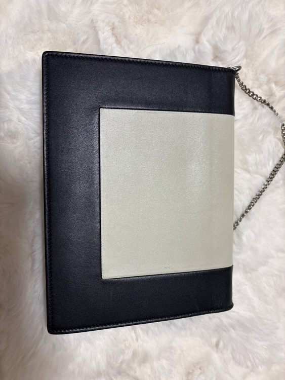 evening clutch on chain 107773AO4.01WB（ブランドバッグ）の商品画像 - 査定依頼日：2026年1月30日 - 最高査定価格：30,000円