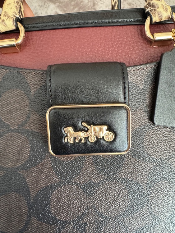 その他 コーチ （ブランドバッグ）の商品画像 - 査定依頼日：2025年6月21日 - 最高査定価格：8,000円