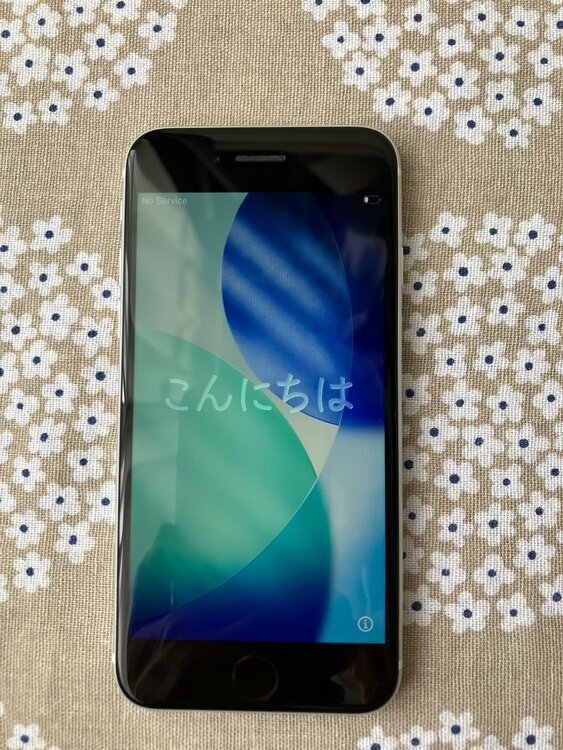 iPhone iPhone SE (第 2 世代) 128GB SIMフリー（スマホ）の商品画像 - 査定依頼日：2026年9月5日 - 最高査定価格：9,000円