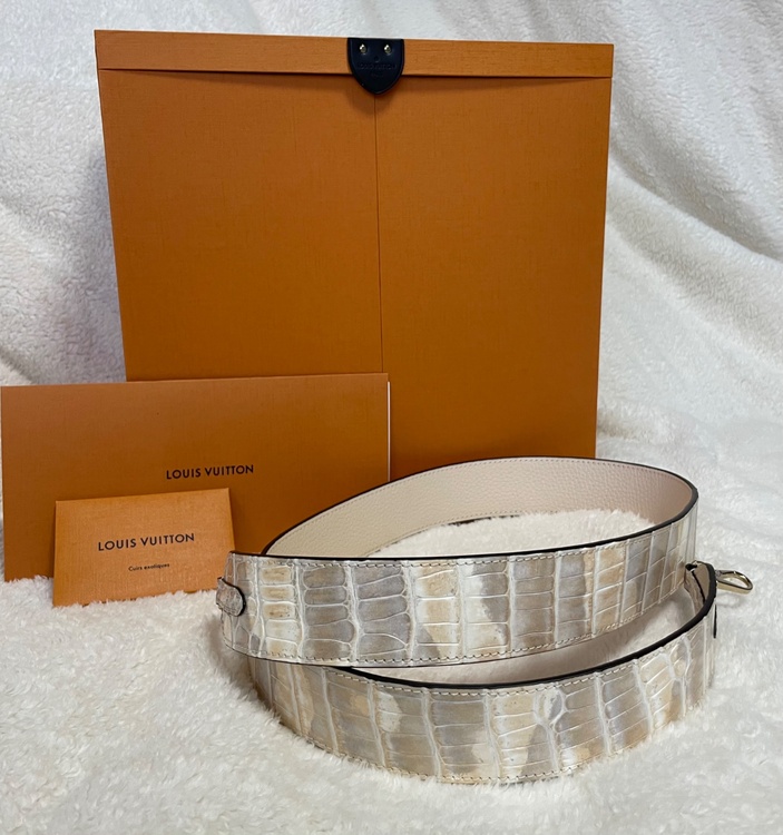 ルイヴィトン ルイヴィトン(その他) （ブランドバッグ）の商品画像 - 査定依頼日：2026年3月26日 - 最高査定価格：100,000円