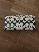 その他 コーチ （ブランドバッグ）の商品画像 - 査定依頼日：2025年2月28日 - 最高査定価格：5,000円