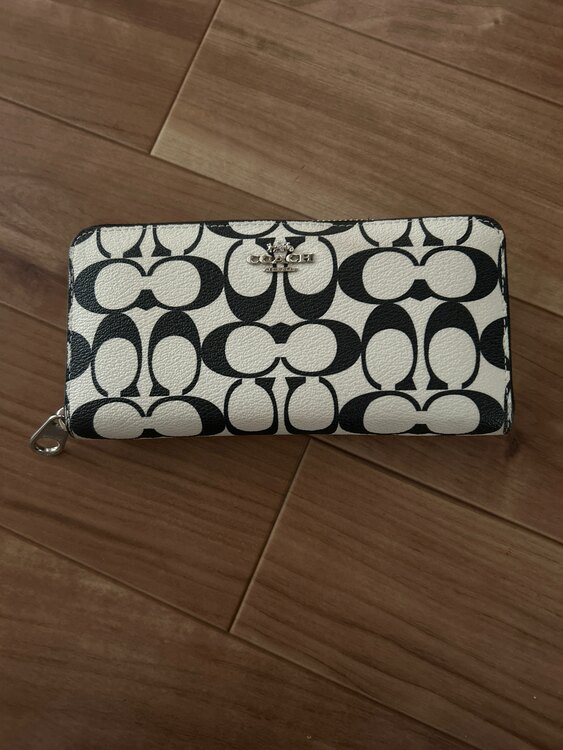 その他 コーチ （ブランドバッグ）の商品画像 - 査定依頼日：2025年2月28日 - 最高査定価格：5,000円