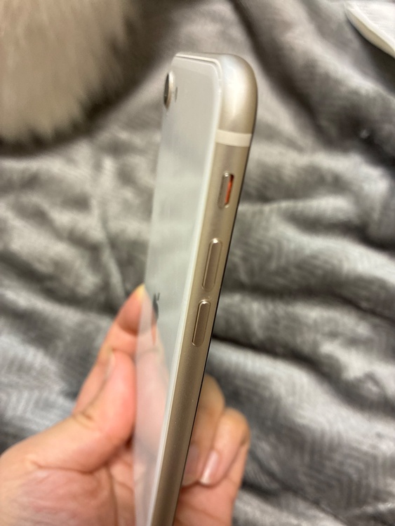 iPhone iPhone SE (第 3 世代) 256GB SIMフリー（スマホ）の商品画像 - 査定依頼日：2026年7月20日 - 最高査定価格：30,000円