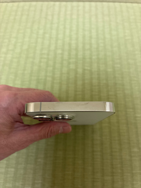 iPhone 13 Pro 256GB SIMフリー（スマホ）の商品画像 - 査定依頼日：2026年1月17日 - 最高査定価格：49,000円