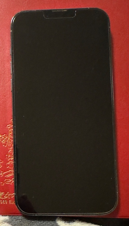 iPhone 13 Pro Max 256GB docomo（スマホ）の商品画像 - 査定依頼日：2026年1月21日 - 最高査定価格：61,000円